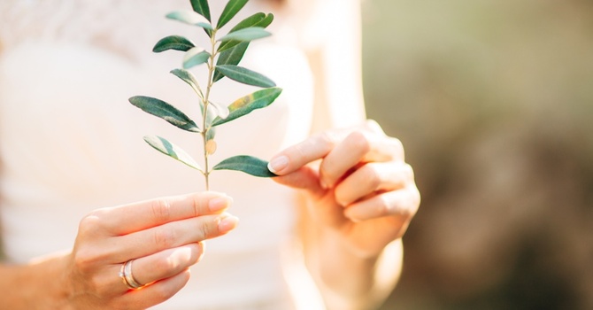 Scalp Micropigmentation (SMP)